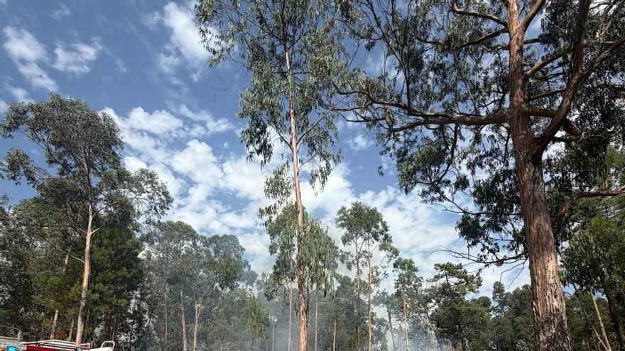 Un nuevo incendio forestal vuelve a afectar a Rego de Alcalde