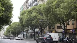 La caída de un rayo inutiliza numerosos semáforos de las Avenidas de Palma y provoca un caos circulatorio