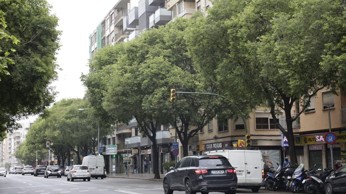 El lugar dónde cayó el rayo en Palma