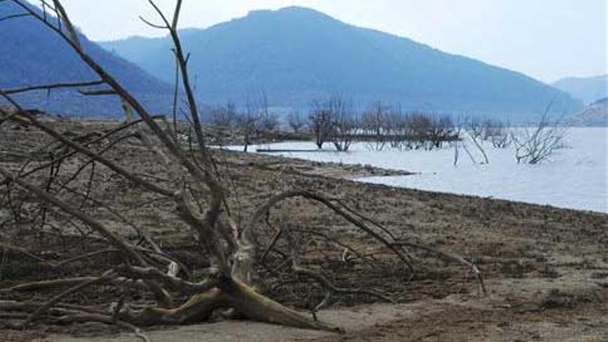 La Comisión de Sequía del Ebro toma medidas ante la peor situación de los últimos años