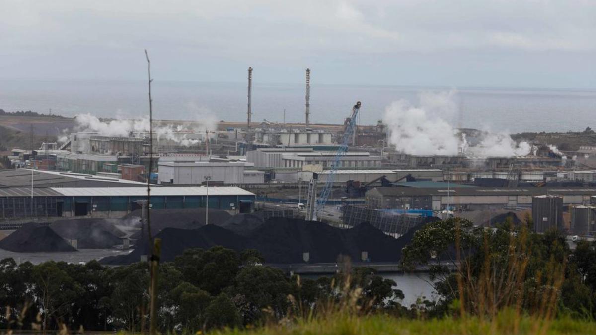 Instalaciones fabriles de Azsa, en San Juan de Nieva. | MARA VILLAMUZA