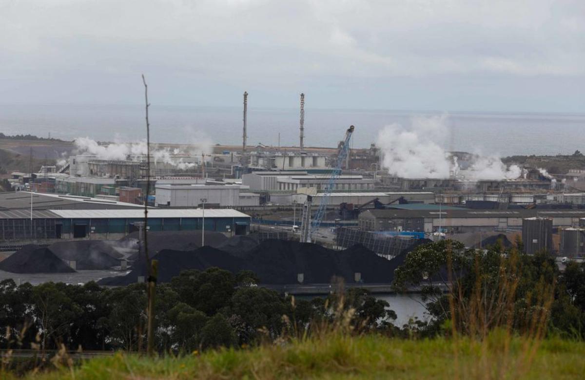 Instalaciones fabriles de Azsa, en San Juan de Nieva.  | MARA VILLAMUZA
