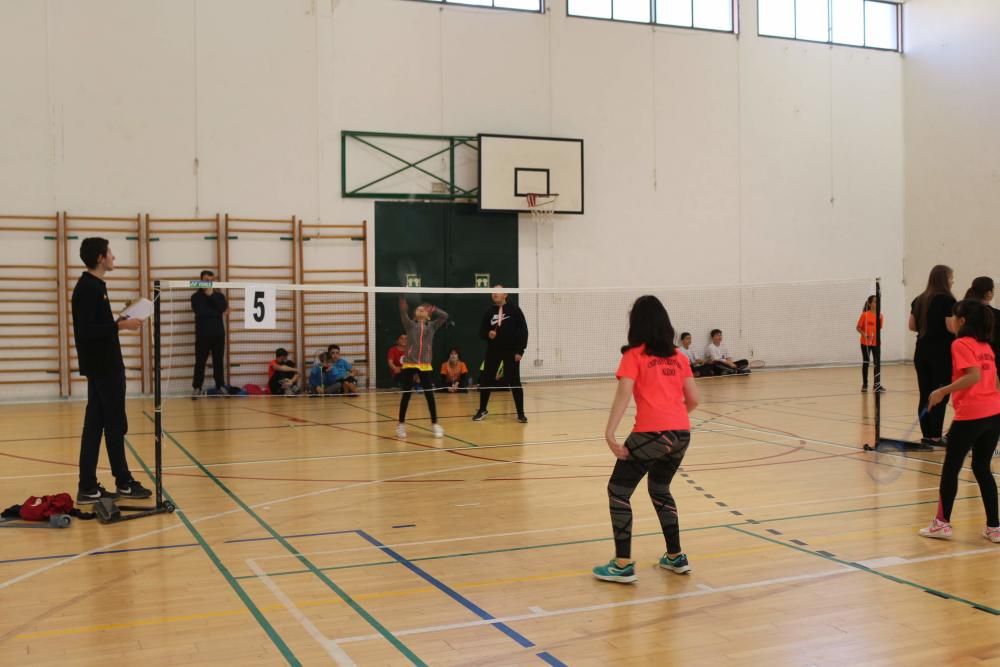 Final Regional de bádminton de Deporte Escolar