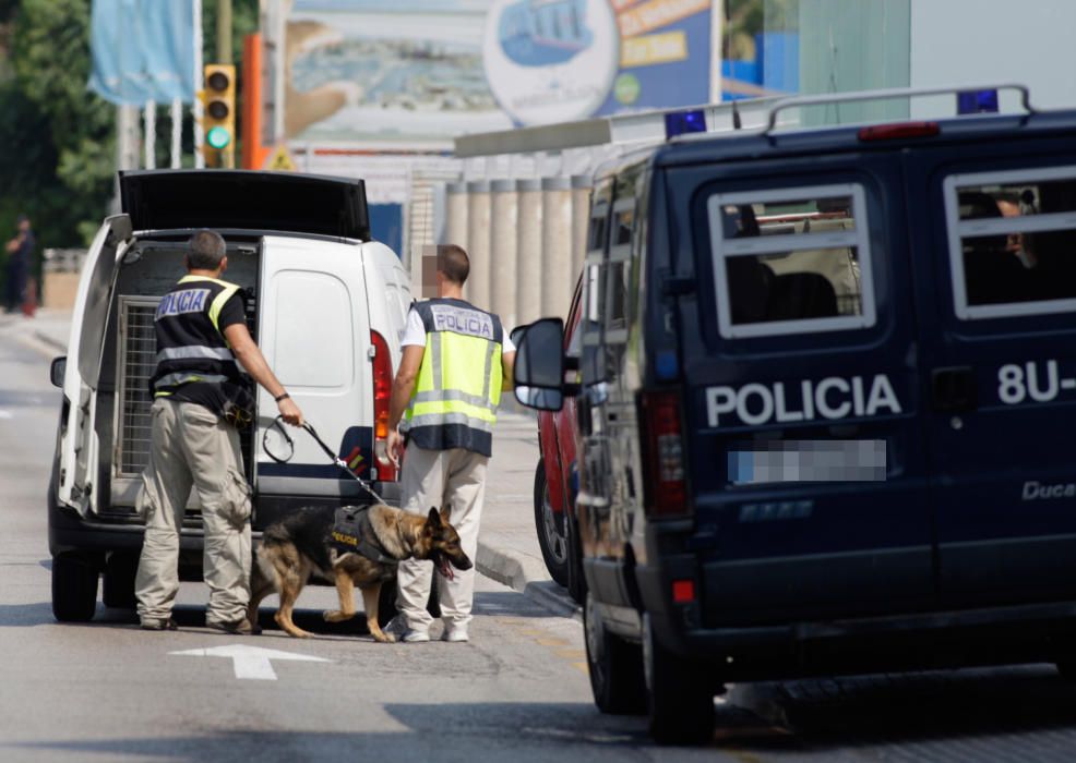 La última bomba de ETA estalló en la Plaza Mayor de Palma