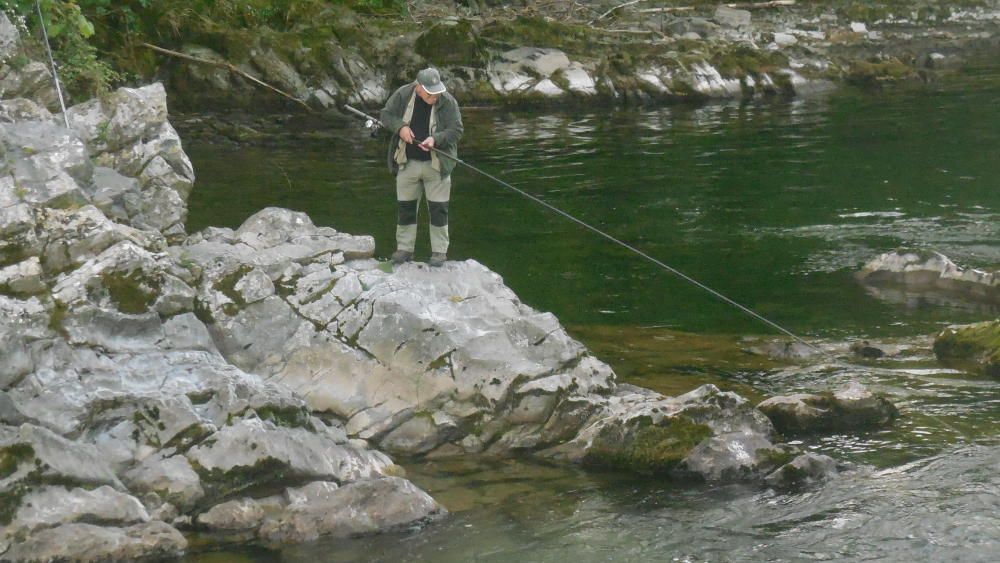 Pesca del campanu del Sella 2017