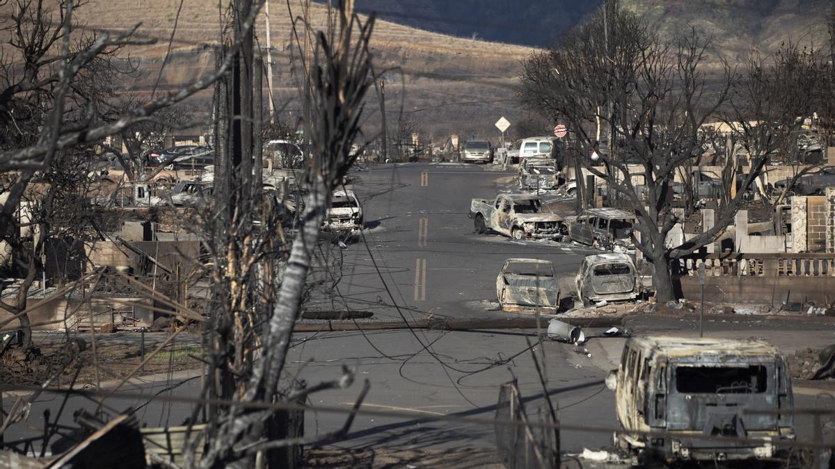 Aftermath of Hawaii wildfires