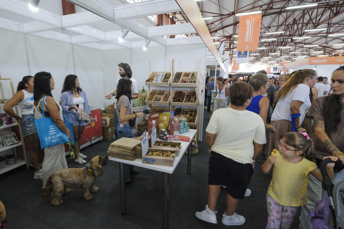 Feria Animundo