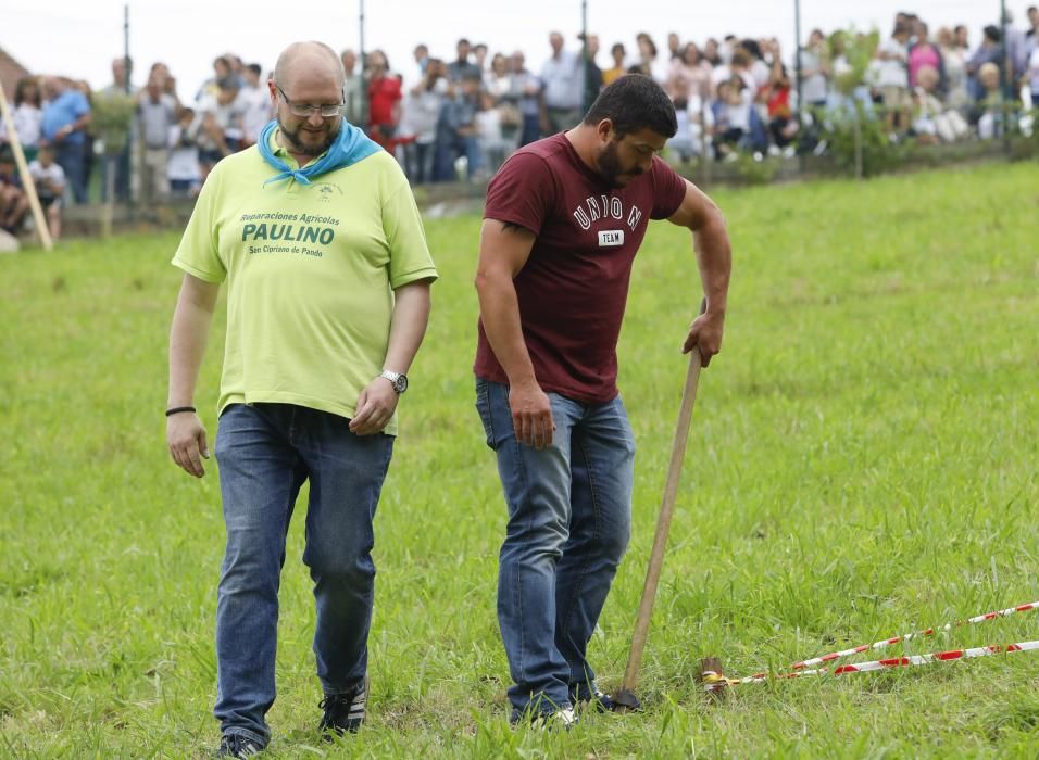 Lanzamiento de fesoria en San Cipriano de Pando