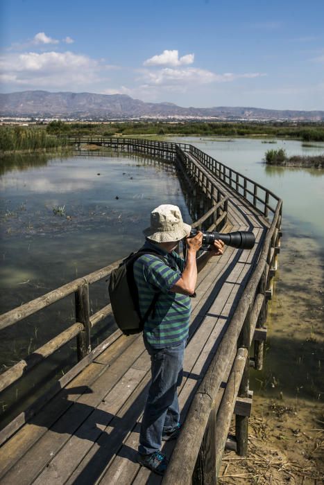 Ecologistas quieren proteger El Hondo