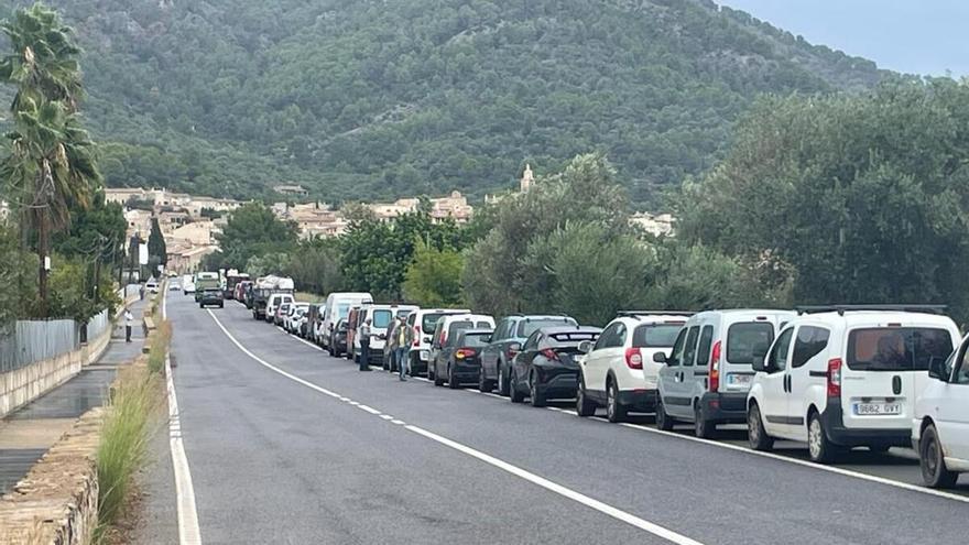 Fent i Desfent | Avalanchas en las &#039;tafones&#039; de Mallorca para hacer su propio aceite