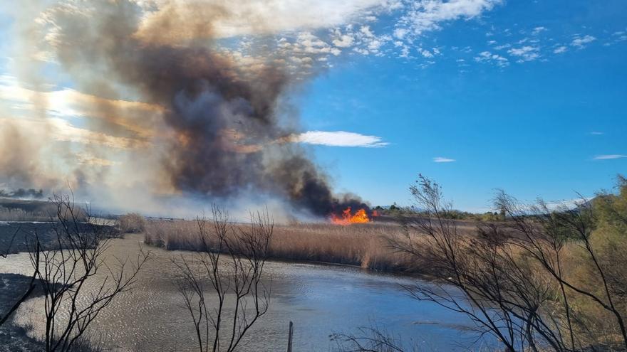 Incendi a la zona del Ter Vell a l'Estartit