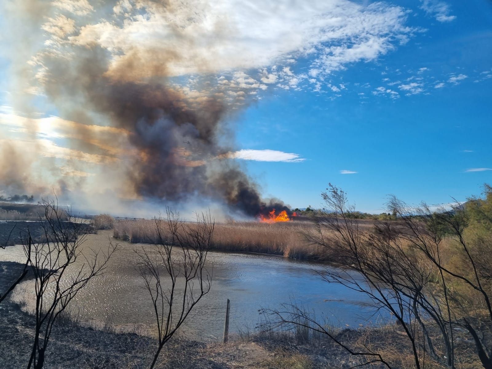 Incendi de matolls a l'Estartit