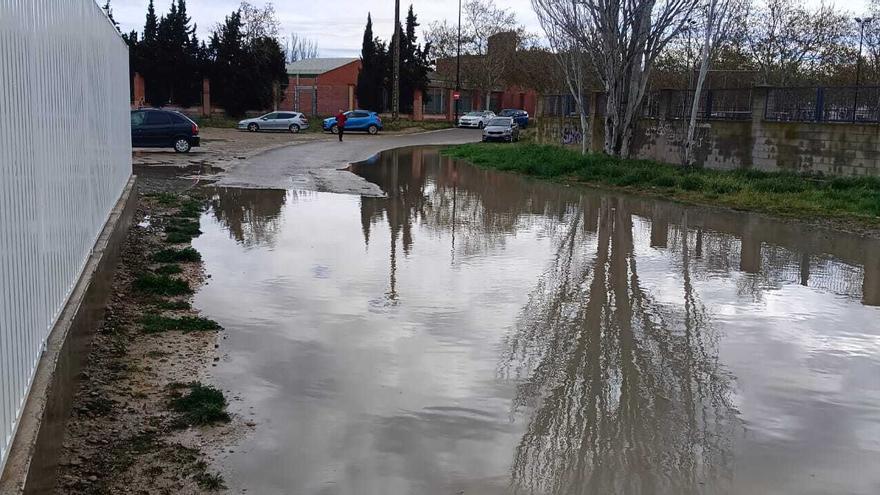 El entorno del colegio Ricardo Mur de Casetas vuelve a inundarse y las familias dicen basta: &quot;Parece una jungla&quot;