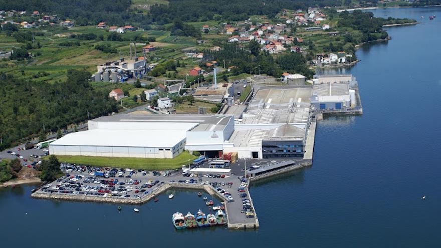Jealsa ultima la reactivación de su planta de Boiro para llegar a 28.000 toneladas de atún al año