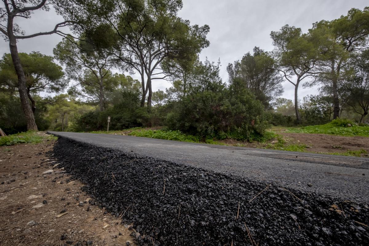Las fotos del asfaltado del bosque de Bellver que indigna a ciudadanos y ecologistas Las fotos del asfaltado del bosque de Bellver que indigna a ciudadanos y ecologistas