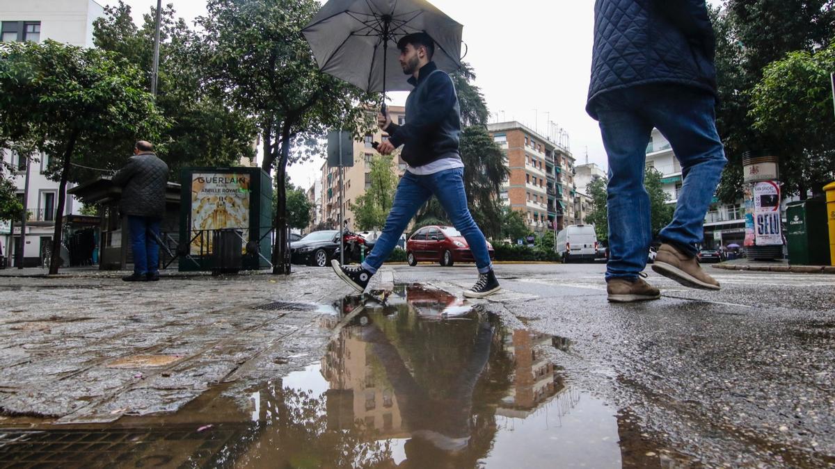 Un joven cruza la calle protegido de la lluvia con un paraguas, en el barrio cordobés de Ciudad Jardín.