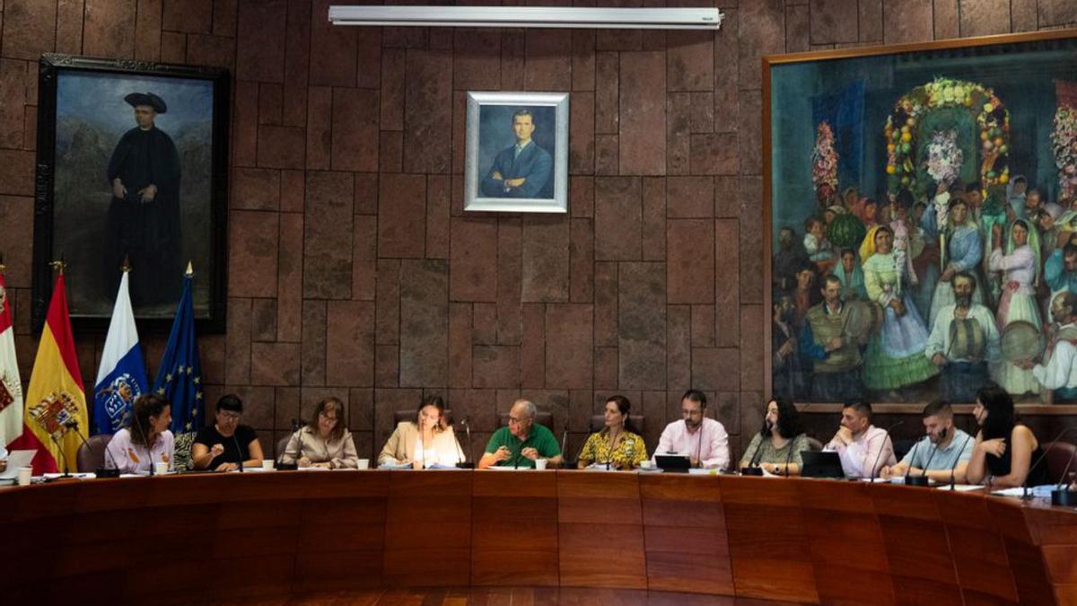 El Pleno del Cabildo de La Gomera. | E. D.