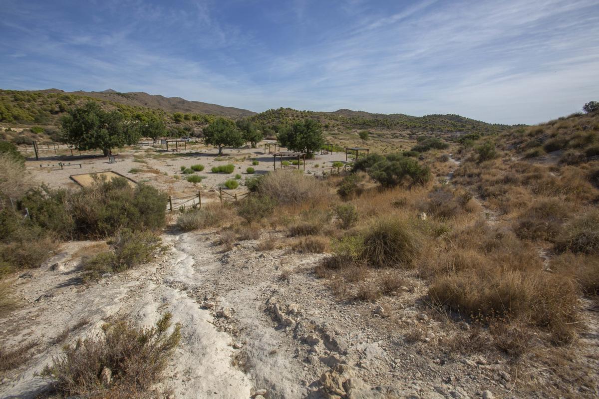 Área de plantación de Puntes de Gosàlvez