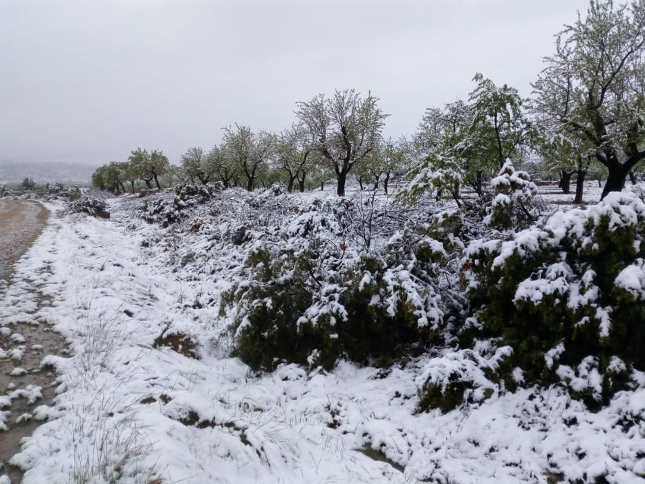 Marzo termina con nieve en Aras de los Olmos