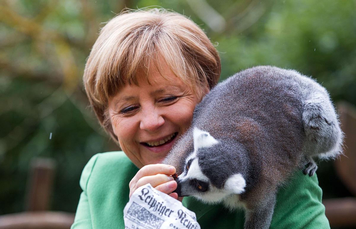 La canciller alemana Angela Merkel alimenta a un lémur el 30 de abril de 2015 durante la inauguración oficial del parque de aves en Marlow, en el este de Alemania.