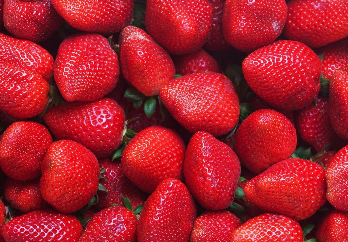 Fresas: una partida importada de Marruecos desata una alerta alimentaria al estar infectadas con bacterias de la hepatitis A.