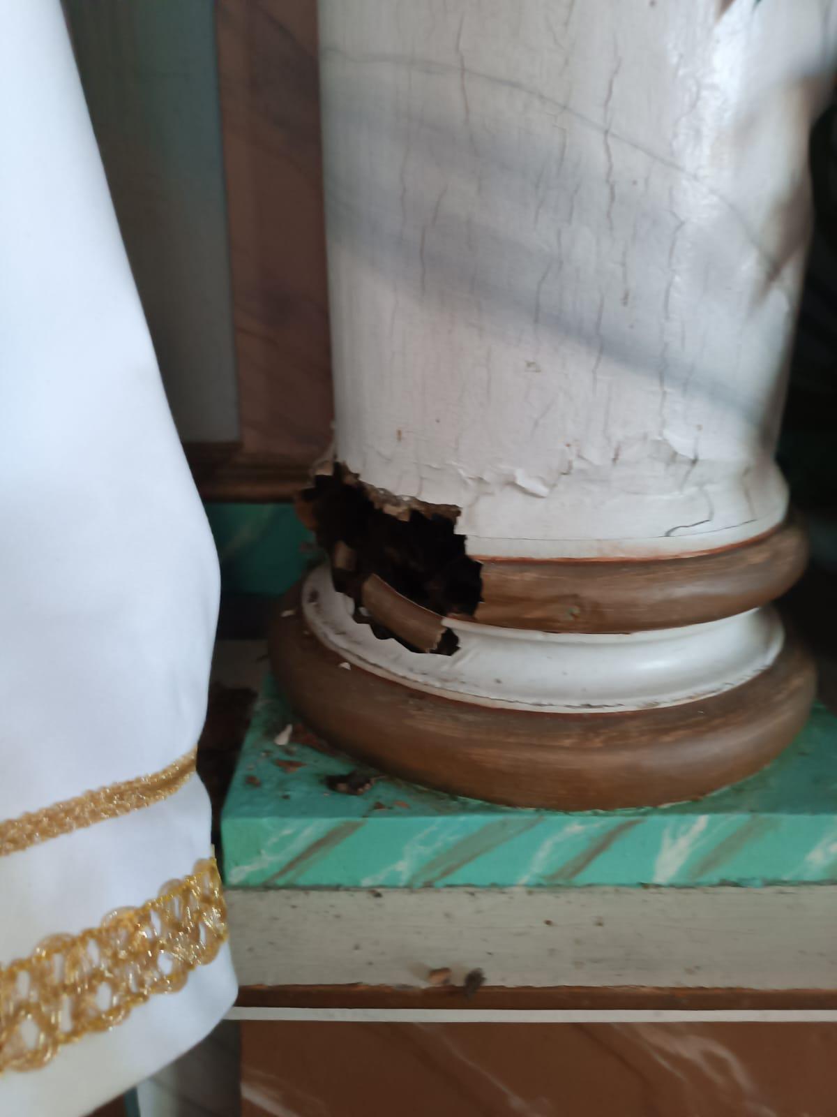 El invierno dispara las alertas por termitas en Galicia: devoran la ciudad y el rural