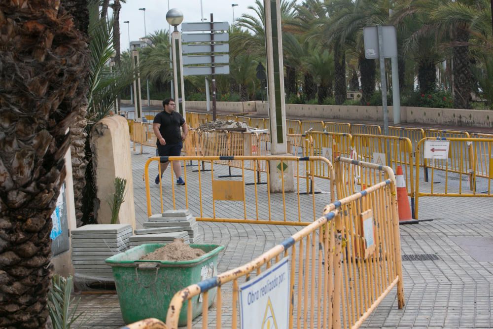 Obras del carril bici en Elche