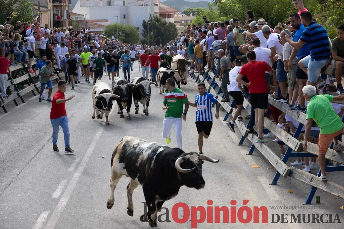 Primer encierro de la Feria del Arroz de Calasparra