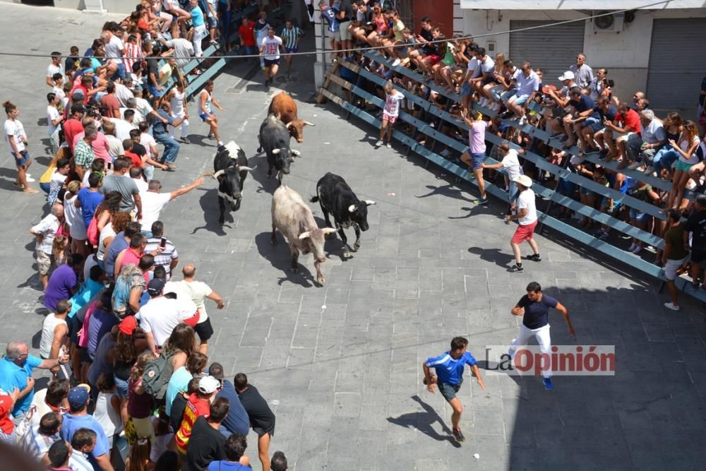 I Encierro de Blanca 2016