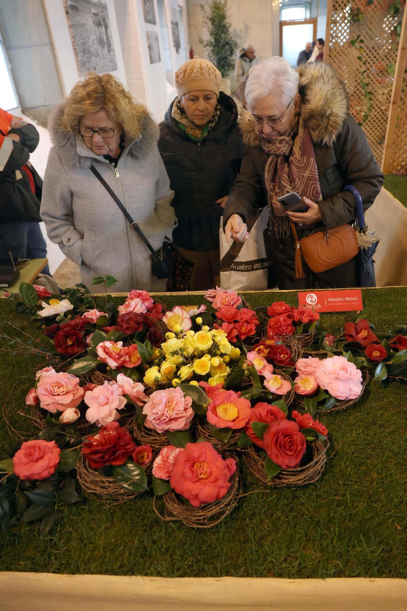 Así fue la 59 exposición internacional de la camelia, en Vilagarcía.