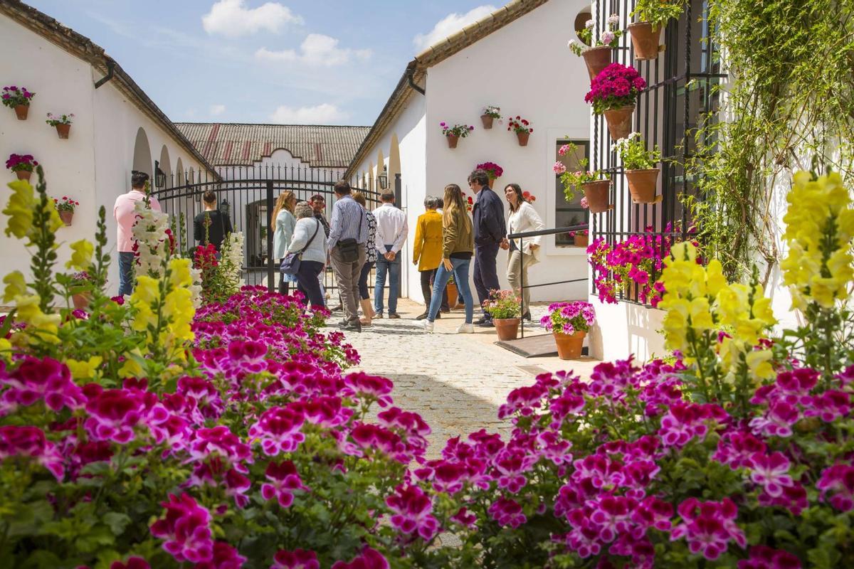 Un grupo de visitantes recorre el patio de Bodegas Alvear.