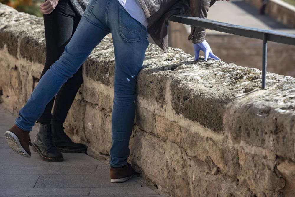 Una mujer extranjera muere al precipitarse desde el muro de la Seu de Palma