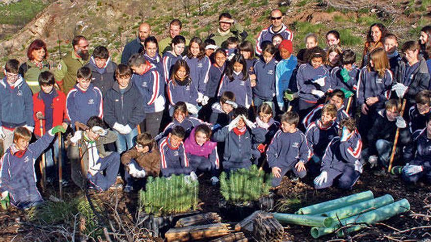 Alumnos de Sóller plantan árboles en sa Gramola
