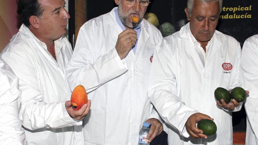 El líder del PP, Mariano Rajoy (c), prueba un mango junto al alcalde de Velez-Málaga, Francisco Delgado Bonilla (i), y al presidente de los populares andaluces, Javier Arenas (d), durante la visita a una cooperativa agrícola malagueña, en donde ha afirmado hoy que si preside el Gobierno &quot;recuperará&quot; el Ministerio de Agricultura y el ministro tendrá que estar mucho tiempo en Bruselas.