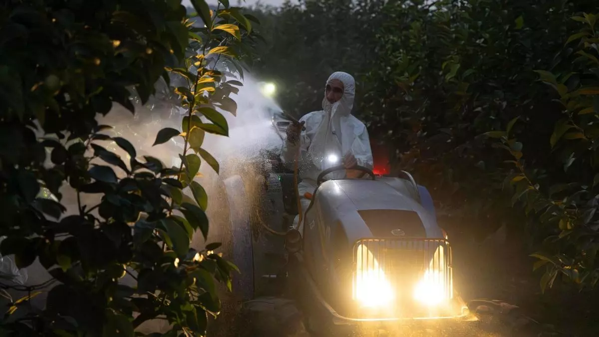Calor extremo: los agricultores se pasan a la noche