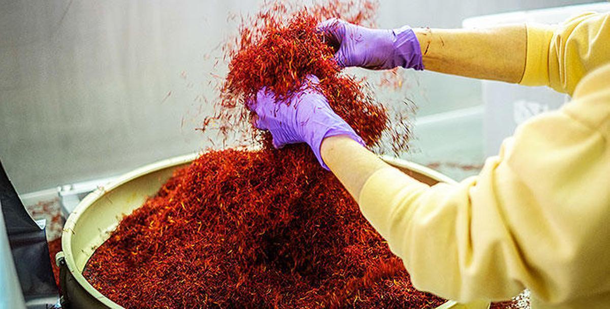 Azafranes, especias e infusiones, junto a la uva de mesa, representan un importante papel en su economía