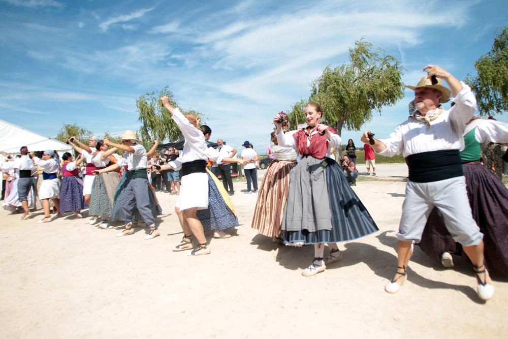 Fiesta de la Siega del Arroz