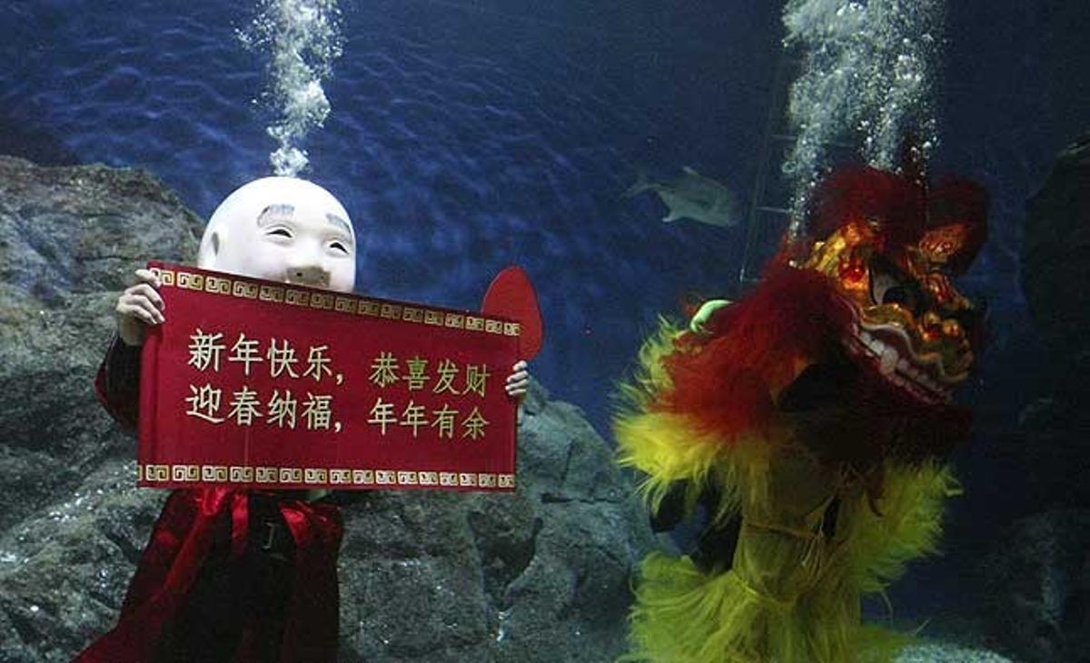 Bussos tailandesos disfressats neden entre els peixos a l’aquari Siam Ocean World a Bangkok (Tailàndia). Aquest espectacle forma part del programa de l’aquari per atraure els turistes durant la celebració de l’Any Nou xinès que aquest any se celebra el 3 de febrer i que serà l’any del conill.