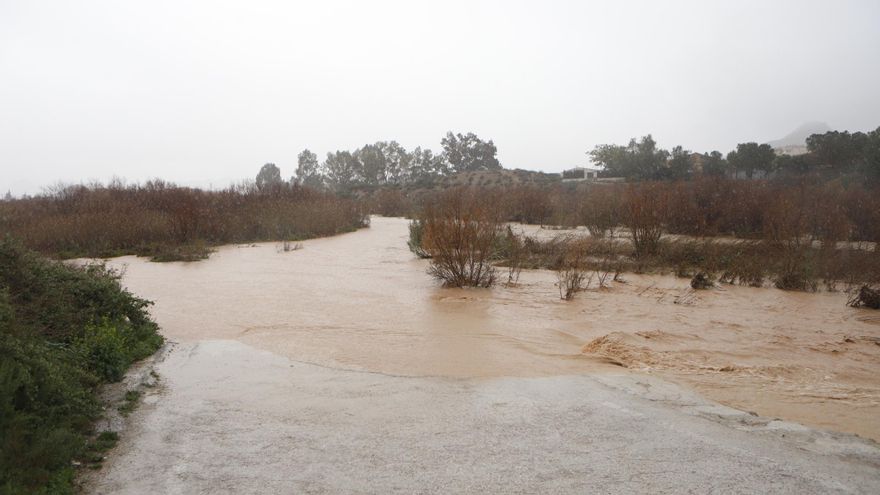 La Plataforma por la Calidad del Paisaje de Lorca lanza un alegato en favor del bosque de taray del Guadalentín