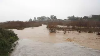 La Plataforma por la Calidad del Paisaje de Lorca lanza un alegato en favor del bosque de taray del Guadalentín