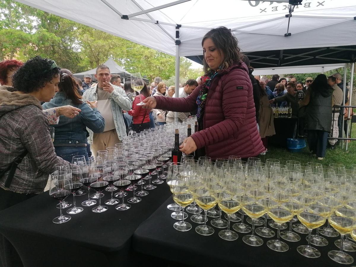 GALERÍA | Toro brinda por los vinos de la DO y el enoturismo
