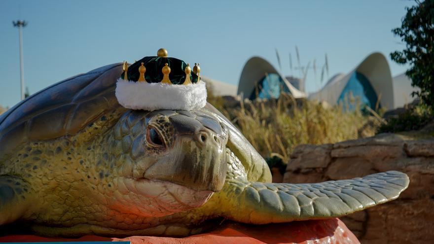 Vive en familia una “Navidad bajo el mar” en València