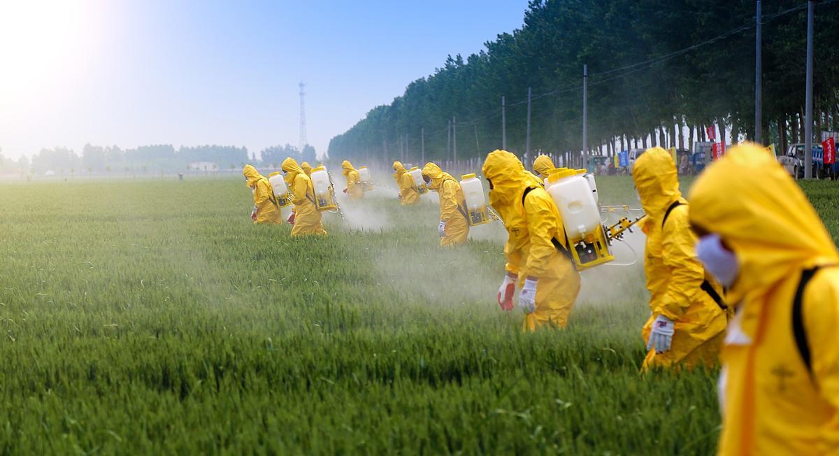 Aplicación de pesticidas en un campo de cultivo
