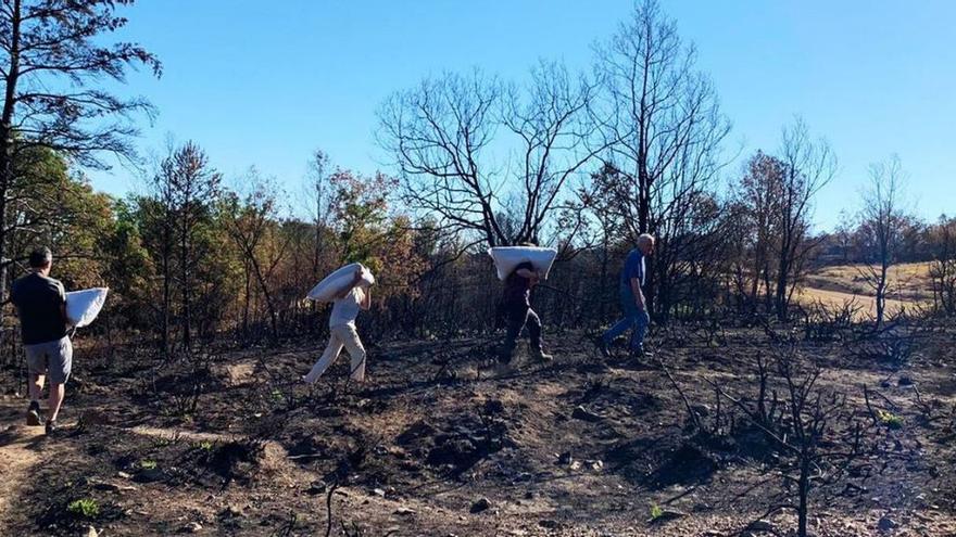 Grano para una fauna hambrienta en la Sierra de la Culebra calcinada