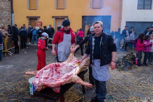 Matanza del cerdo en Tábara