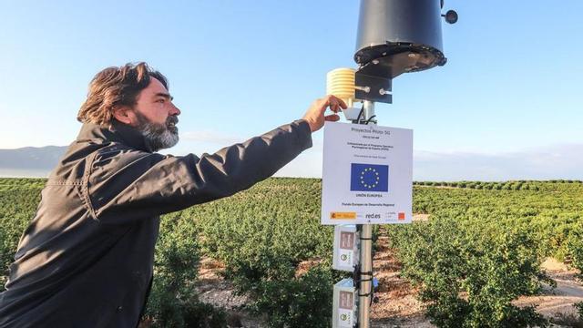 La Politécnica realiza investigaciones relacionadas con la agricultura inteligente. | TONY SEVILLA