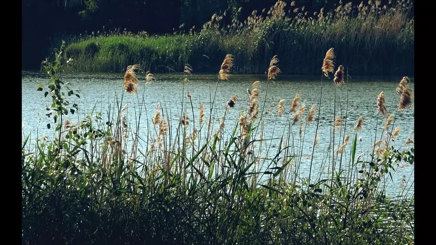 Miradas de Zamora: río Duero, dador de vida
