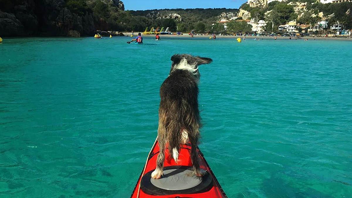 Resumen de la ruta en kayak de Sergi y Nirvana por el Mediterráneo. 