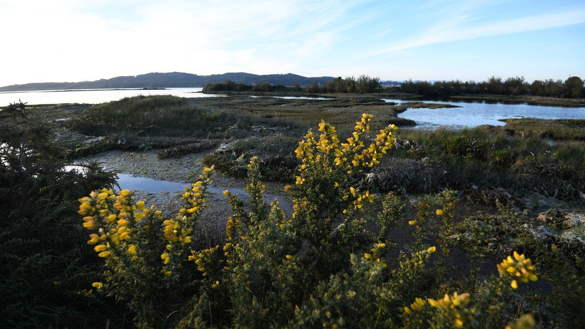 Es una zona intermareal y de marisma de gran belleza paisajística/ Gustavo Santos