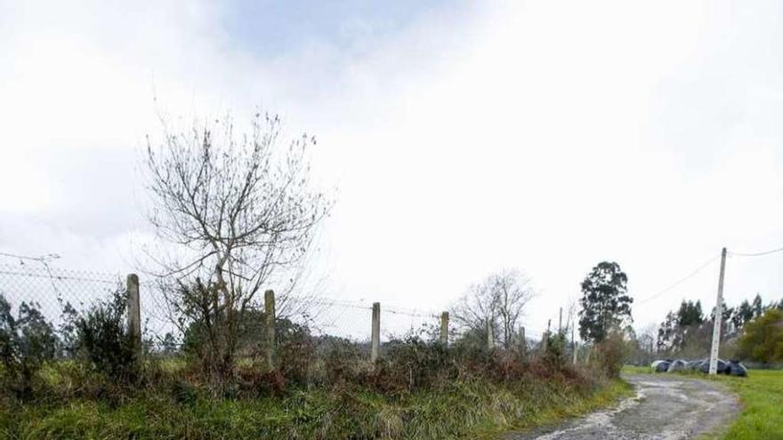 Carretera de La Barrosa a La Choricera.